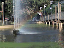 Fuente Del Lago 