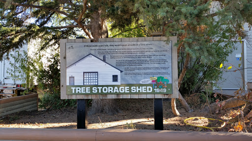 Tree Storage Shed
