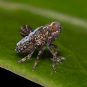 Unknown hopper