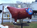 Delaware State Fair Cow