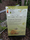 Tapir Terrestre