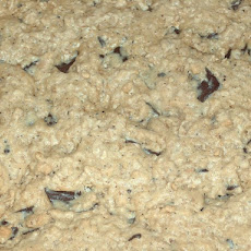 Chocolate Chip Cookie Bars