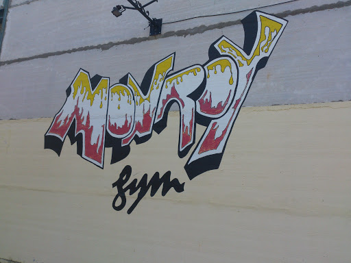 Gym Monroy