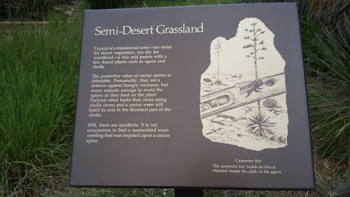 Semi-Desert Grassland