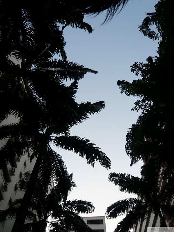 [pix.with.lumix.81[3].jpg]