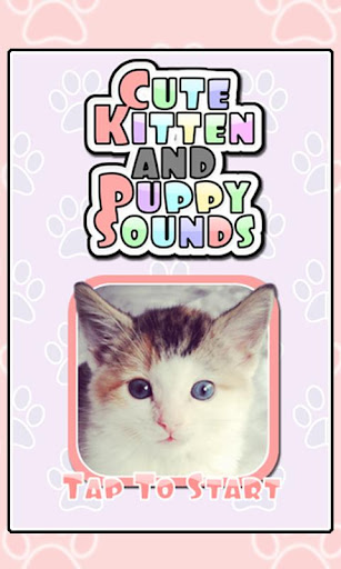 Cute Kitten Puppy Sounds