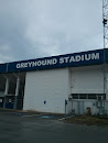 Greyhound Stadium