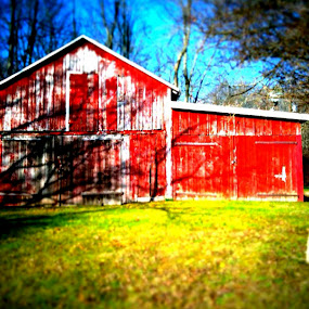 by Jay Goldman - Mobile Photos iPhone
