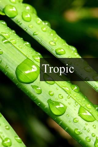 【免費健康App】Tropic rain forest stress-APP點子