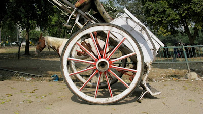 Baori Samaj © Caleb Johnston