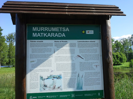 Murrumetsa Matkarada