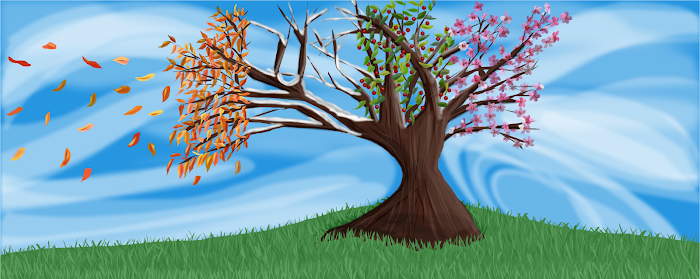 Four Seasons