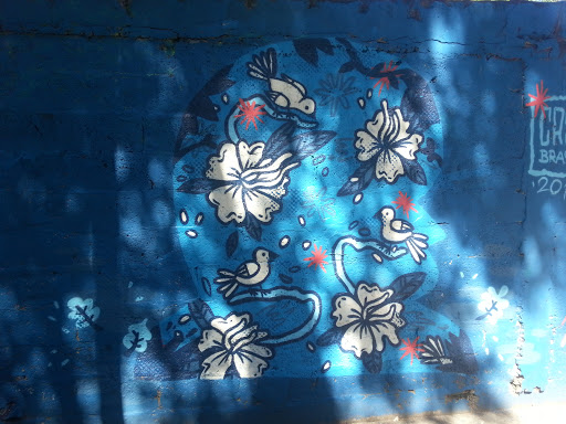 Arte Urbana Flores E Pássaros