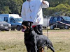 Excelentes Cachorros C Pedigre  Papeles De Fca