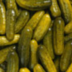 Deli Pickles - Half Sours