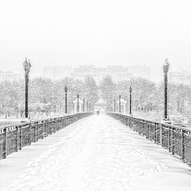 Snowy Bridge by Oleg Milyutin - City,  Street & Park  City Parks ( lantern, winter, bridgework, seasons, snow, lamp, bridge, snowing )