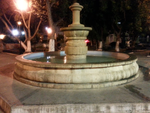 Fuente Parque Santiago