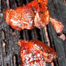Slow Cooker Spicy Country Ribs