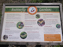 Butterfly Garden 