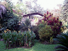 Vendo De Oportunidad Magnifica Y Productiva Finca