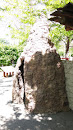 Zoo Boise: Giant Termite Mound