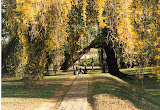arts_garden5.jpg