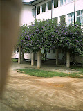 sss_0010.jpg