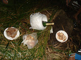 DSC04207.JPG