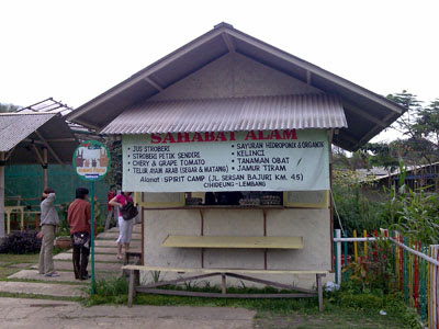 ... tanaman hidroponik kebun strawberry tanaman jagung dan aneka sayuran