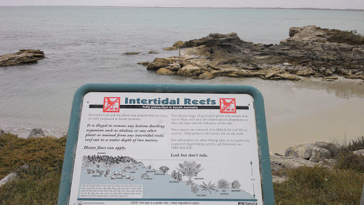 Intertidal Reefs