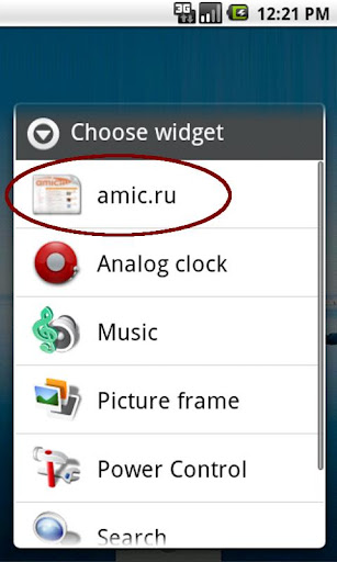 amic.ru widget