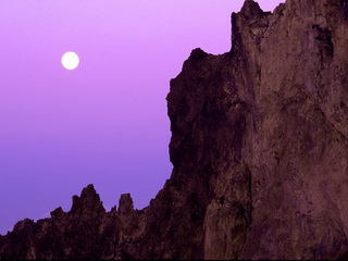 Blackberry wallpaper