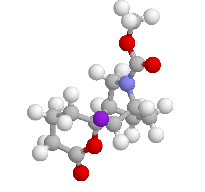 molekuel_bild.gif
