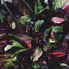 Red Salad with Champagne Vinaigrette
