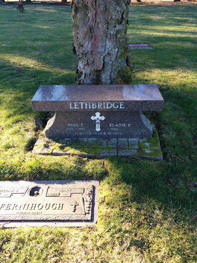 Lethbridge Memorial Bench 