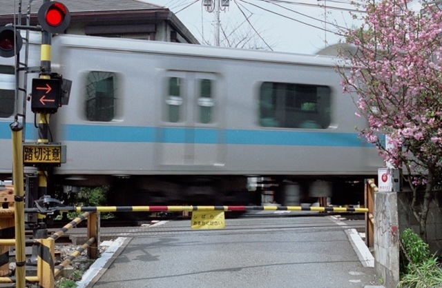 [real2823.jpg]