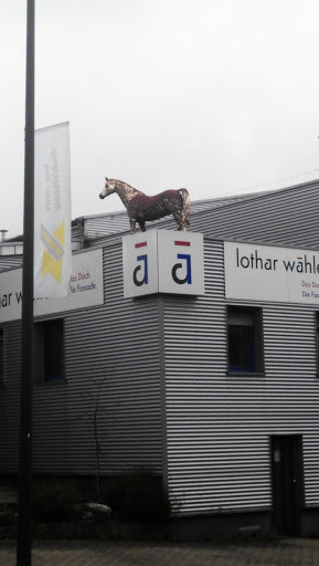 Pferd auf dem Dach 