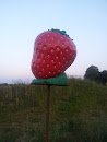 Strawberry Fields 