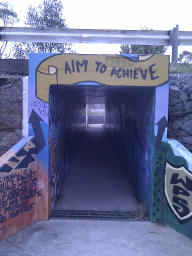 Aim to Achieve Tunnel