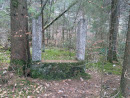 Broken Pillars in the Woods