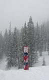 DSCN0090.JPG