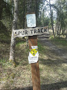 Spur Track Trail