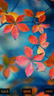 How to download Inspic Autumn Wallpapers HD patch 2.0 apk for pc