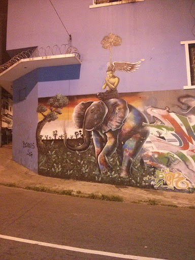 Arte Grafite Indiano