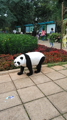 路边的小熊猫