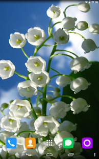 How to get May-lily Live Wallpaper patch 1.1.1 apk for laptop