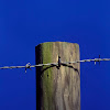 Simple Fence Post