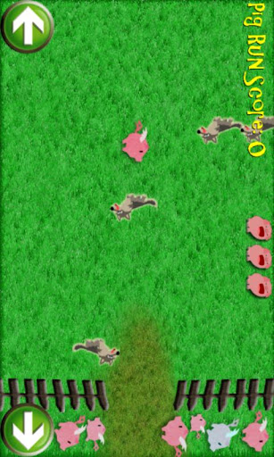 Pig Run Game