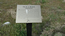 Silica Beds Sign