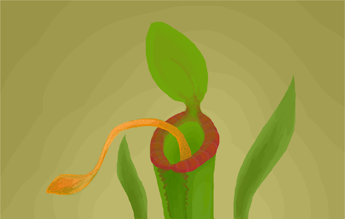 Return Of The Triffids